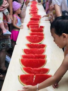 吃瓜的娱乐小能手