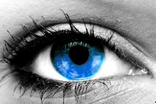 蓝色眼睛外国网红,揭秘蓝色眼睛外国网红的魅力之旅