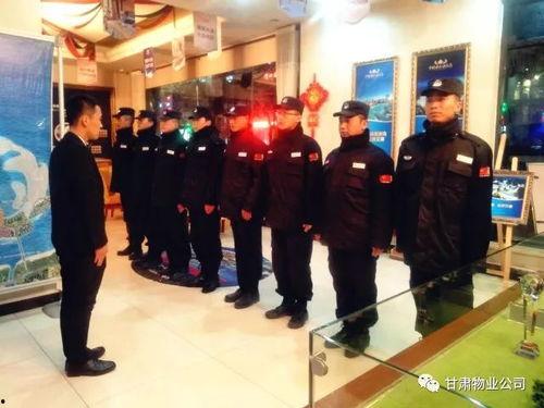 娱乐秩序维护员,娱乐秩序维护员的使命与挑战